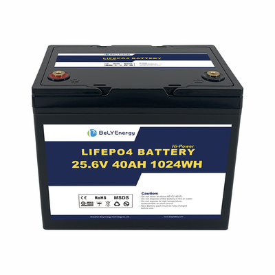 comprare Bely Energy Batteria personalizzata 24V 40AH per la stazione di comunicazione UPS Medical online manufacture