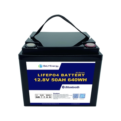 comprare Facile da trasportare per imbarcazioni da pesca 12V 50AH LiFePo4 batteria con e Smart BMS online manufacture