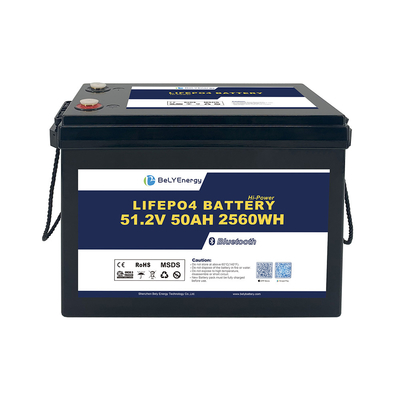 Bely Energy Safe And Reliable 48v 50ah Lifepo4 Battery Pack per elettronica di consumo EV