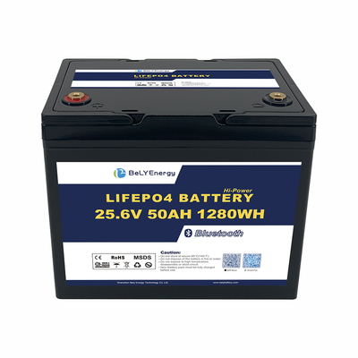 OEM ODM ABS Anti-UV batteria per imbarcazioni marine 24V 50AH LiFePO4 batteria al litio con BT