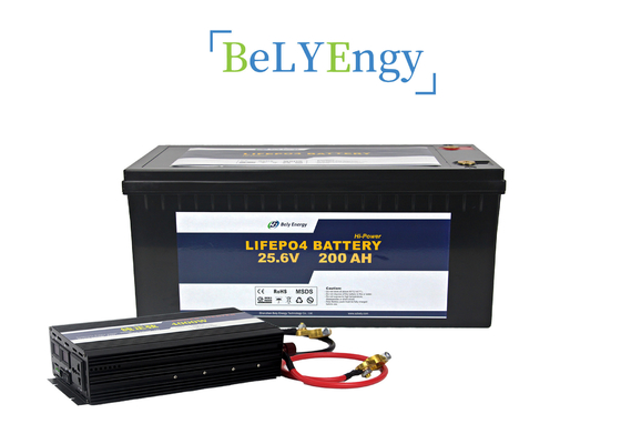 veicoli di Ion Battery Used In Electric del litio 25.6V